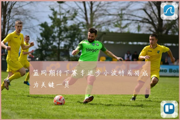 篮网期待下赛季进步小波特或将成为关键一员