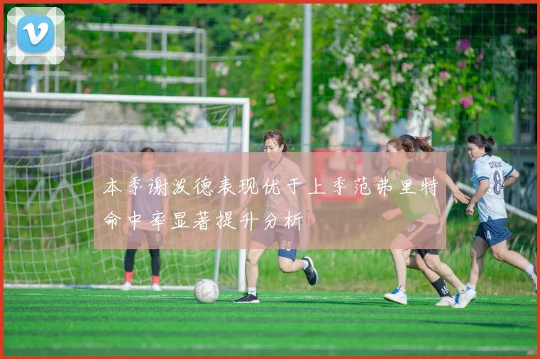 本季谢泼德表现优于上季范弗里特命中率显著提升分析
